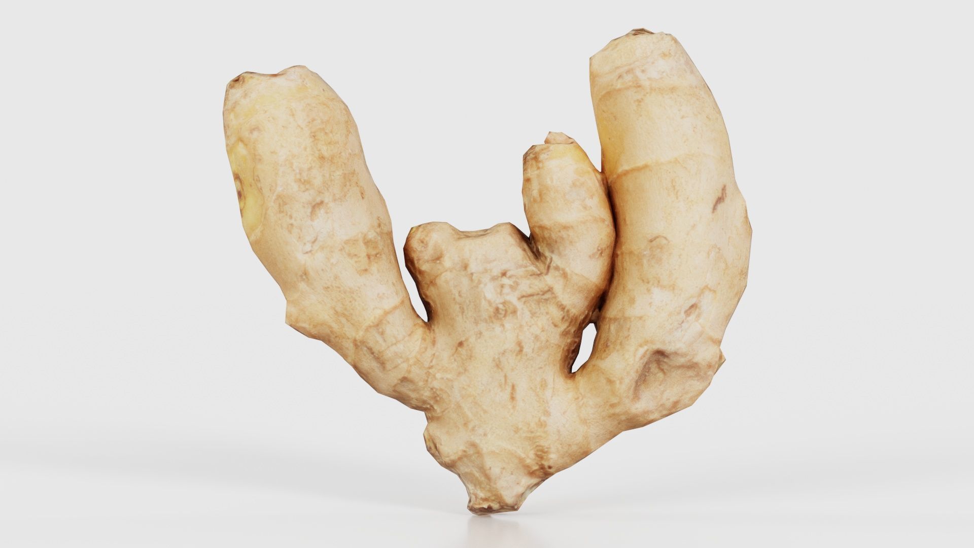 78 Fruit and Vegetable Superbundle 3D Model Collection_35