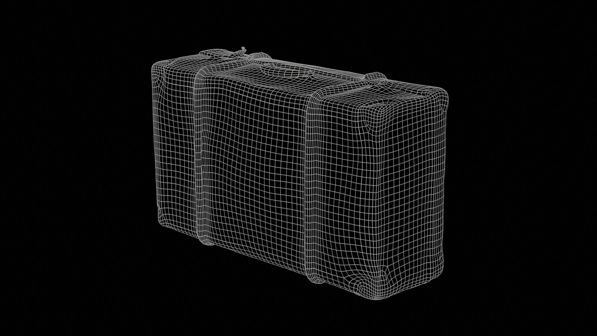 12 Vintage Suitcase Superbundle 3D Model Collection_9