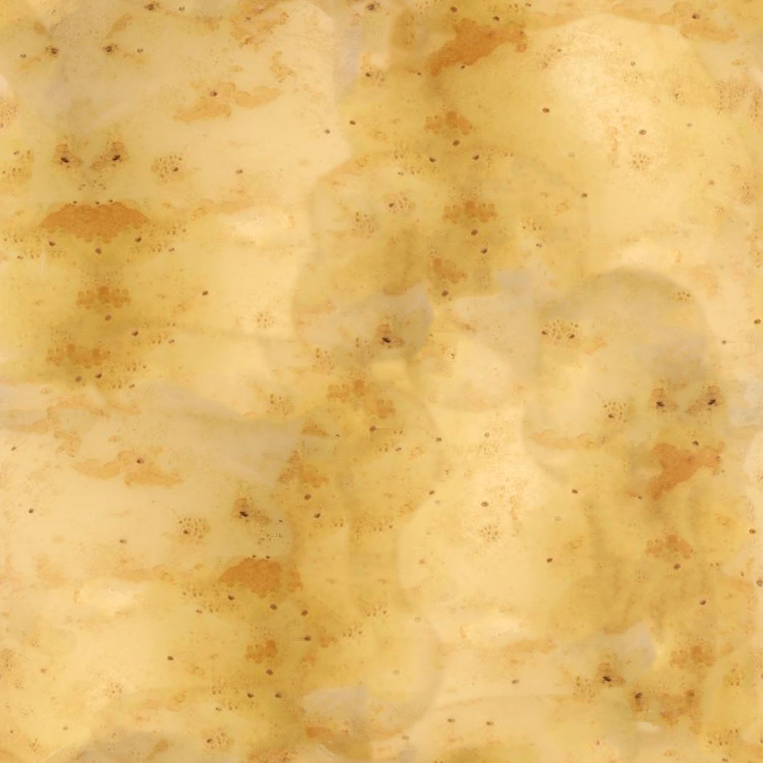 Fresh Vegetables 3D model_21