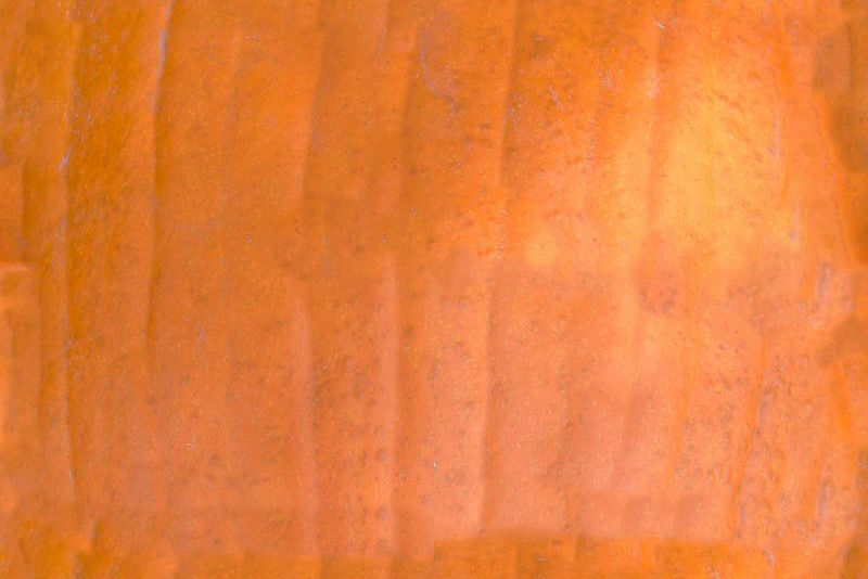 Fresh Vegetables 3D model_22