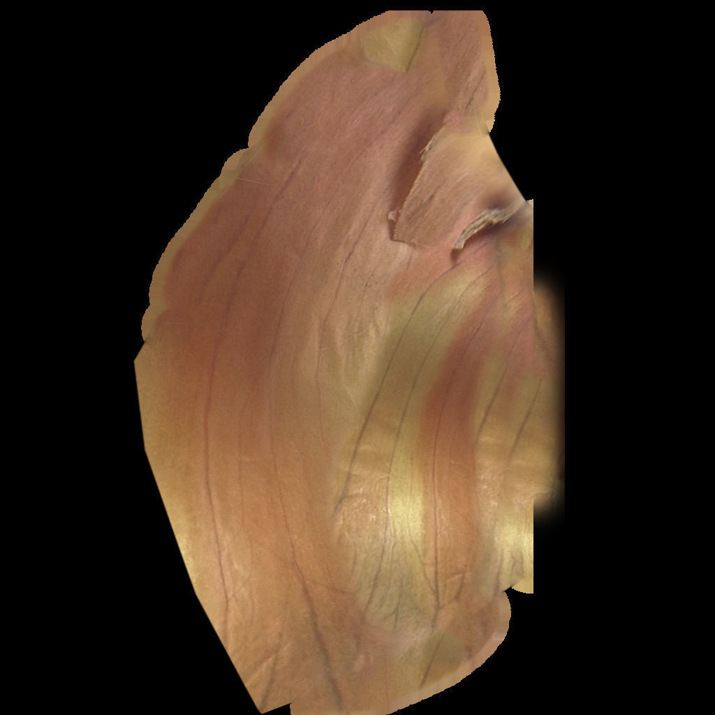 Fresh Vegetables 3D model_29