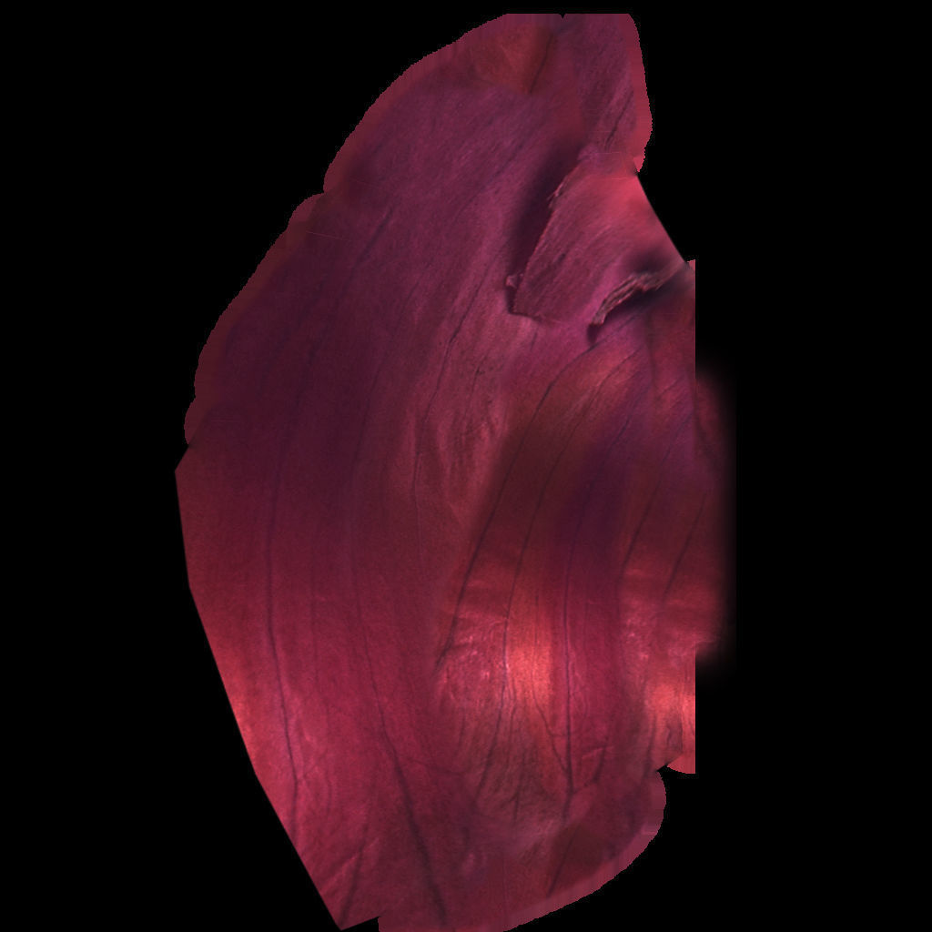 Fresh Vegetables 3D model_33