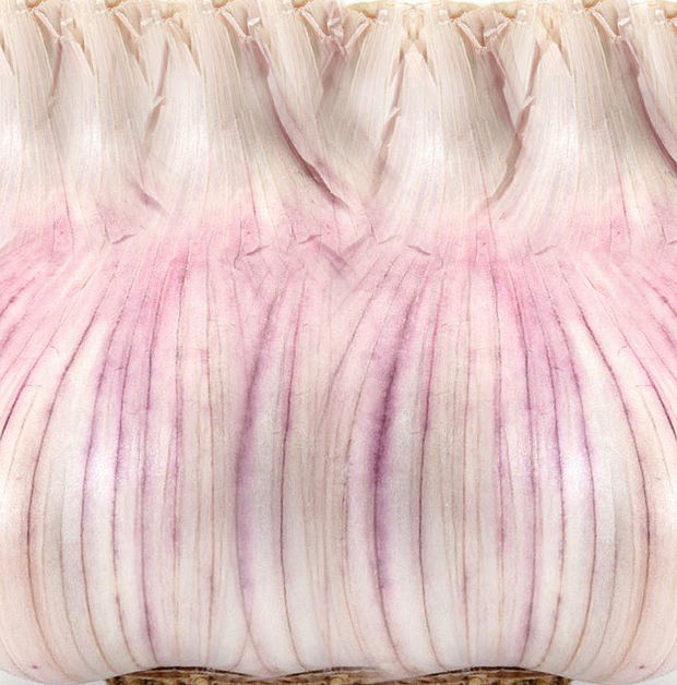 Fresh Vegetables 3D model_13