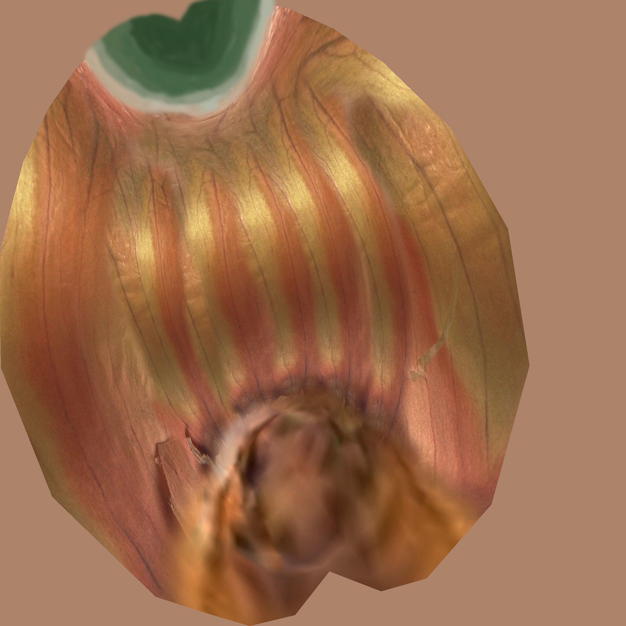 Fresh Vegetables 3D model_27