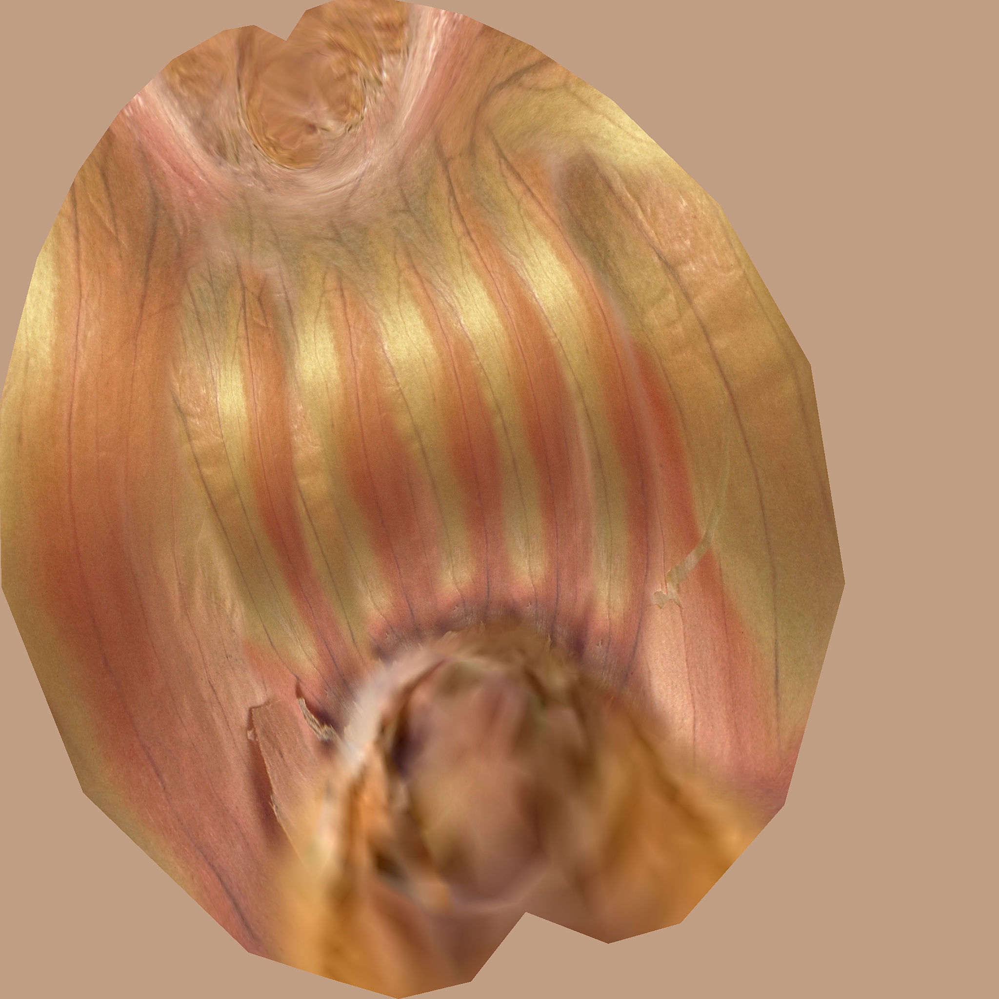 Fresh Vegetables 3D model_28