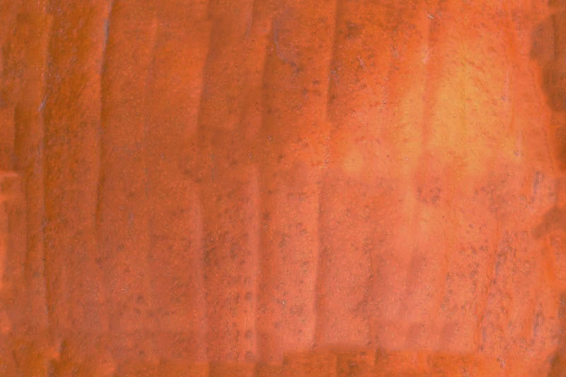 Fresh Vegetables 3D model_26