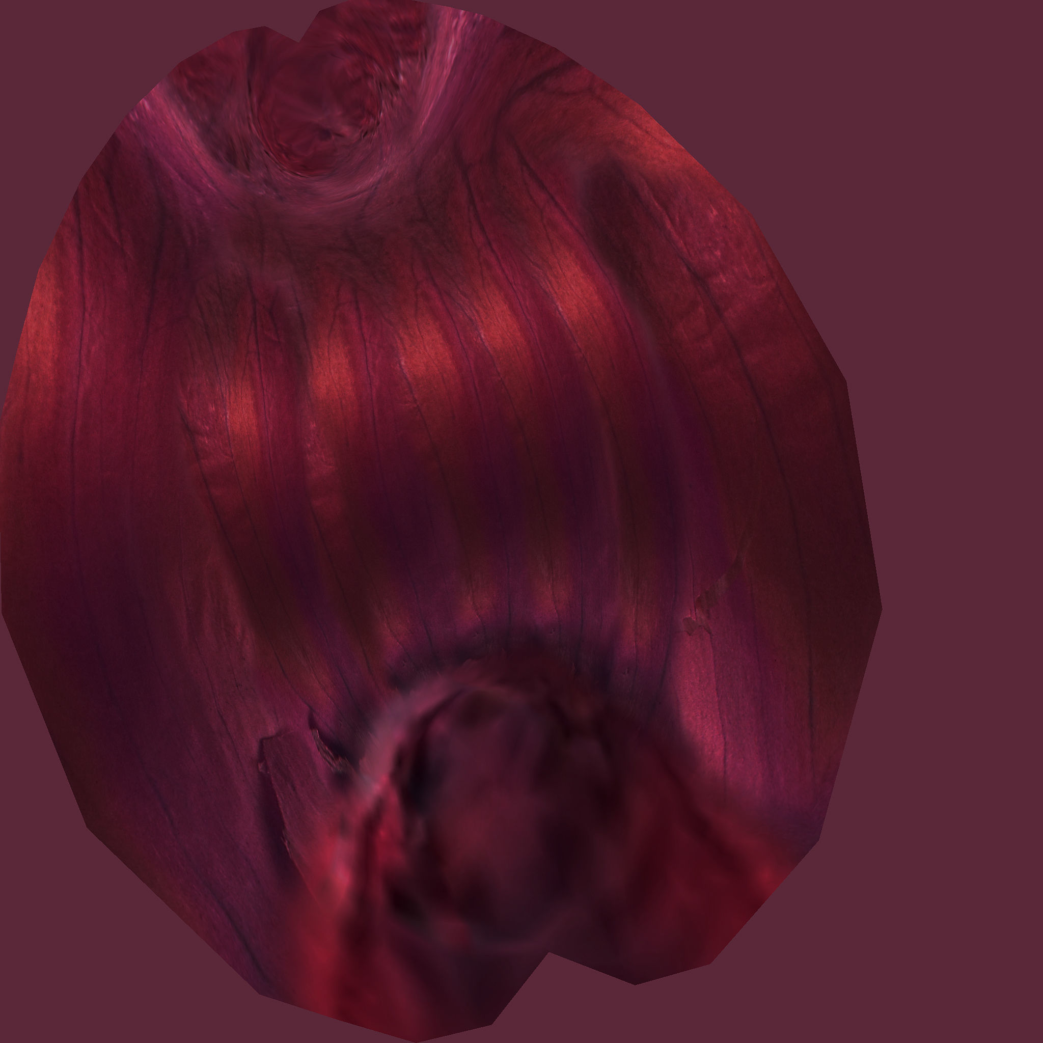 Fresh Vegetables 3D model_32