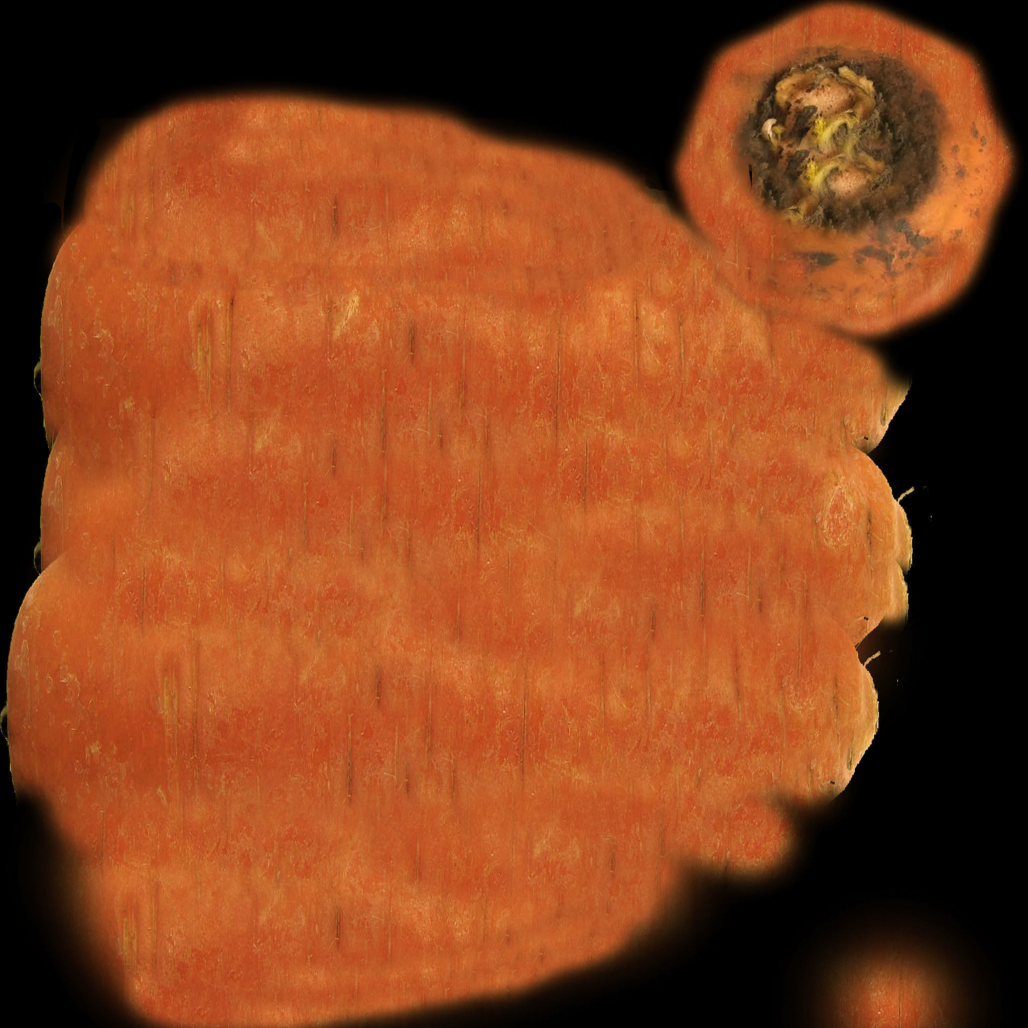 Fresh Vegetables 3D model_8