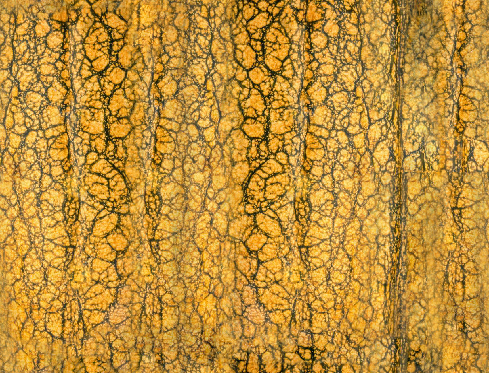 Fresh Vegetables 3D model_25