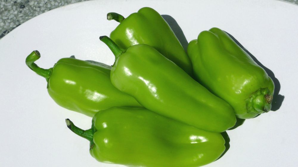 Fresh Vegetables 3D model_17