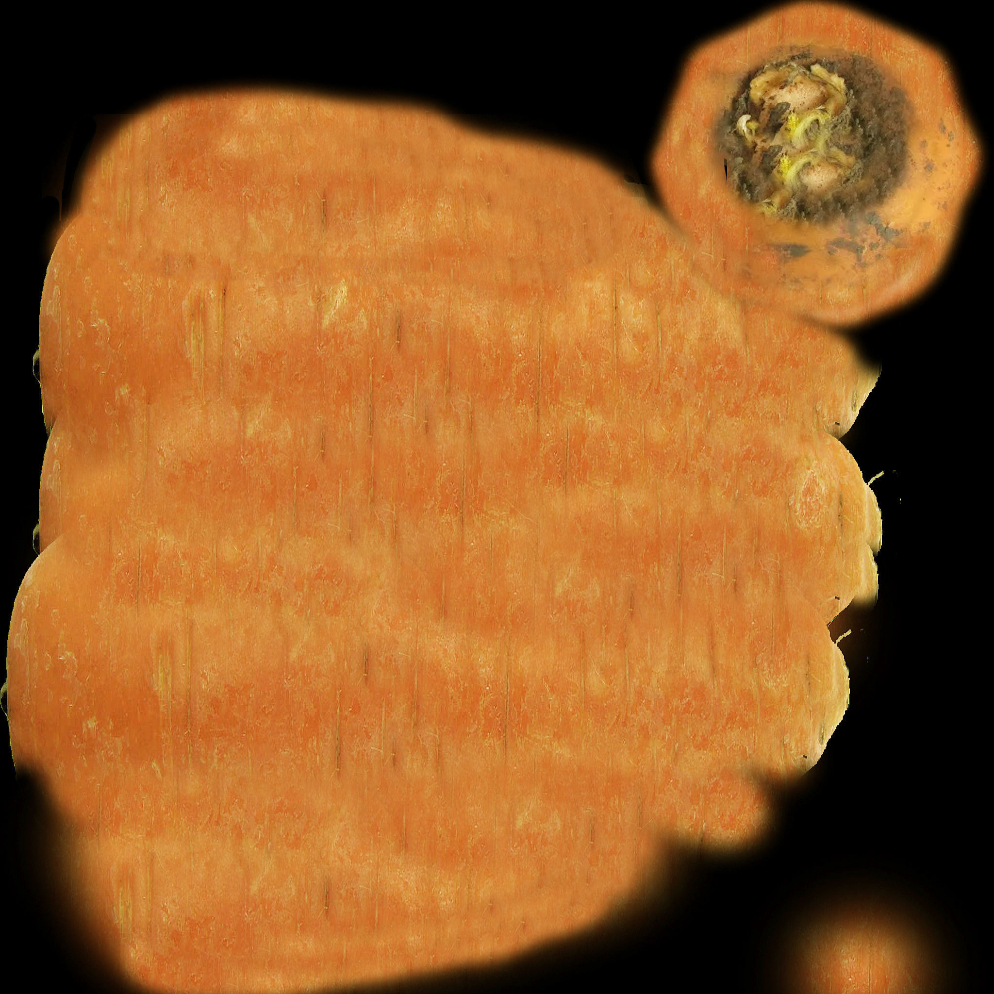 Fresh Vegetables 3D model_7