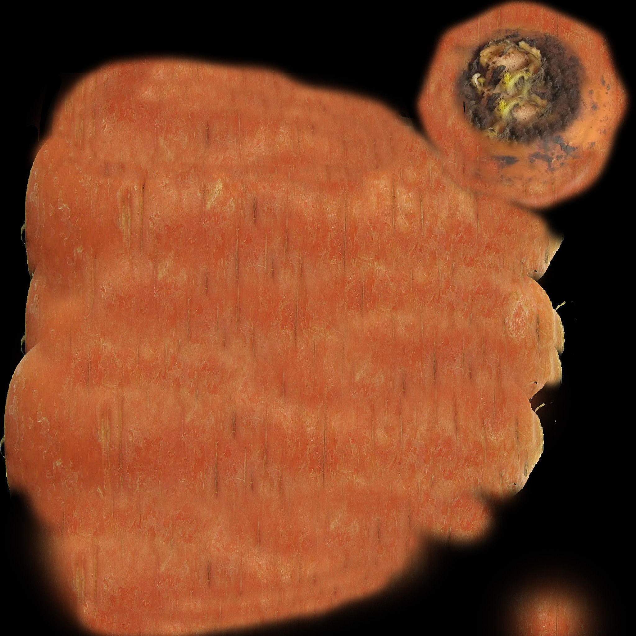 Fresh Vegetables 3D model_6