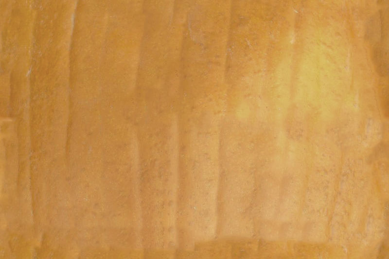 Fresh Vegetables 3D model_24