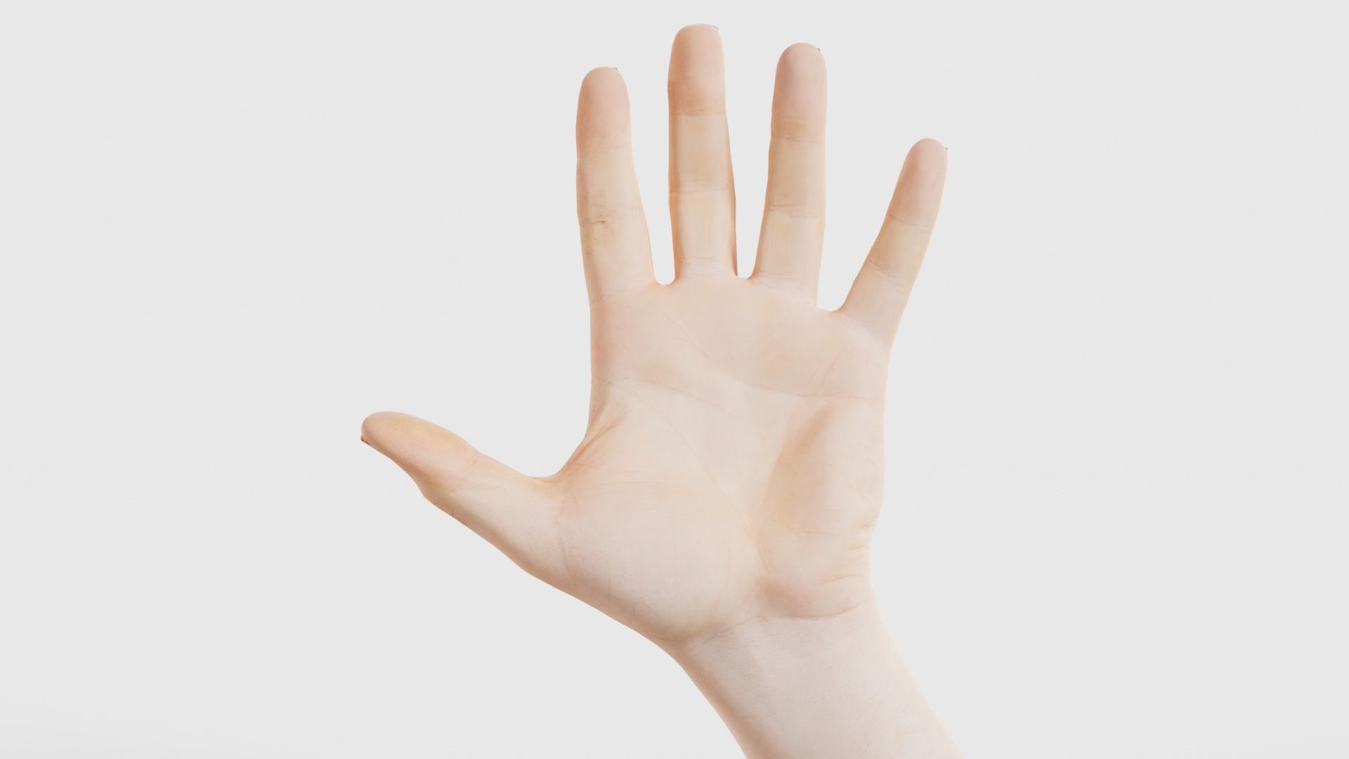 68 Male Hand Artistic and Sign Superbundle 3D Model Collection_20