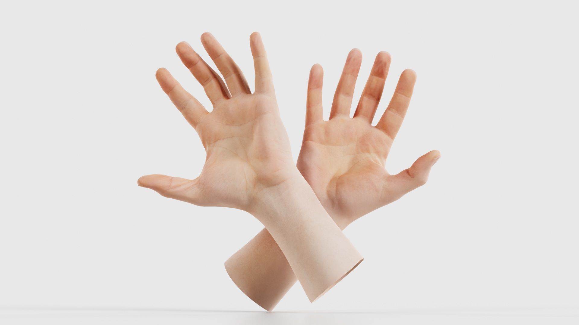 68 Male Hand Artistic and Sign Superbundle 3D Model Collection_22