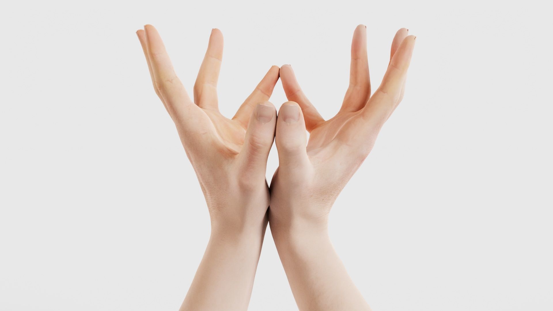 68 Male Hand Artistic and Sign Superbundle 3D Model Collection_18