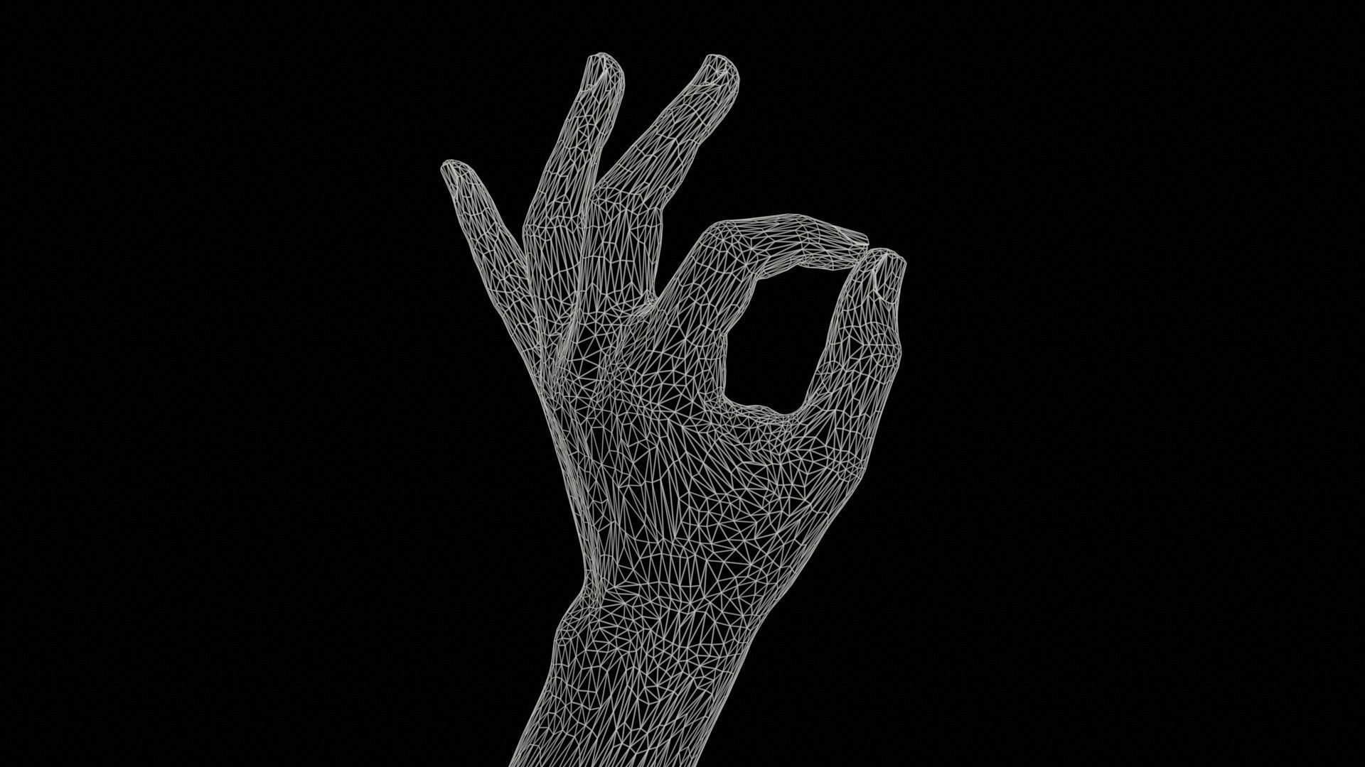 68 Male Hand Artistic and Sign Superbundle 3D Model Collection_13