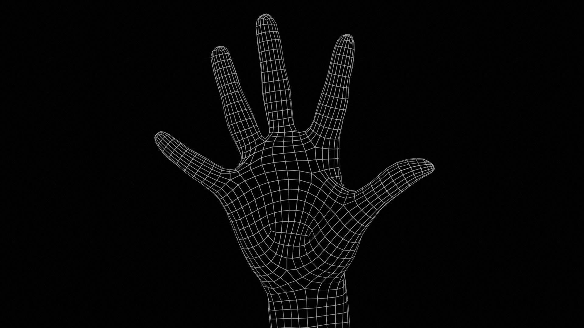 114 Female Hands Artistic and Sign Superbundle 3D Model Collection_10