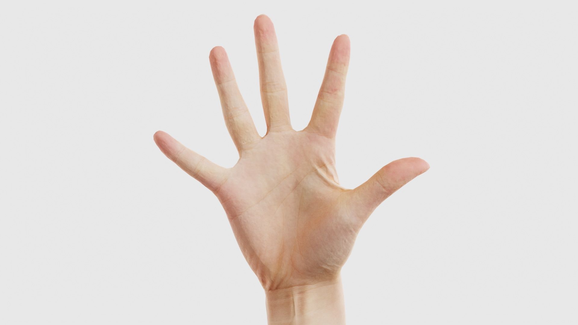 114 Female Hands Artistic and Sign Superbundle 3D Model Collection_15