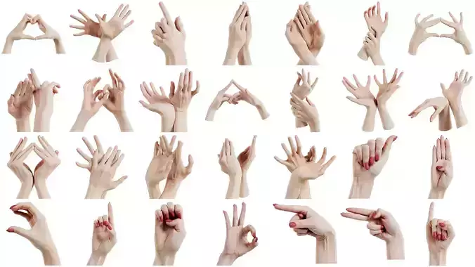 114 Female Hands Artistic and Sign Superbundle 3D Model Collection