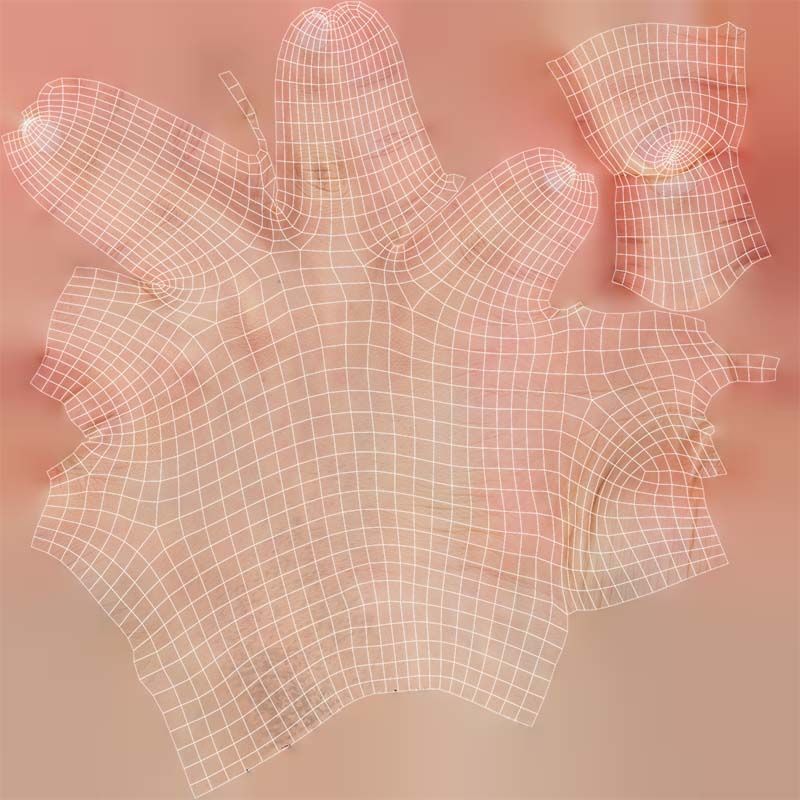 114 Female Hands Artistic and Sign Superbundle 3D Model Collection_12