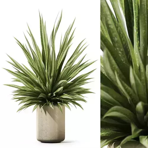 Plants collection 1183