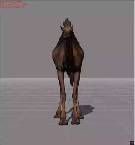 Camel animal 3D model