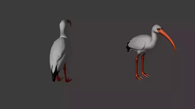 Stork Bird Free 3D model
