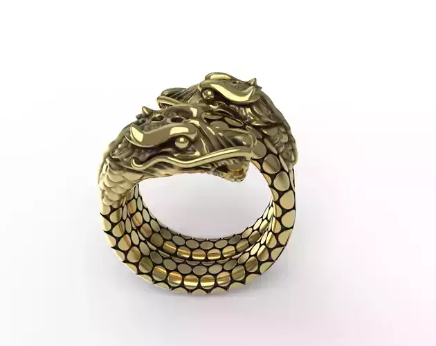 Double Head Dragon Coil ring 3D print model