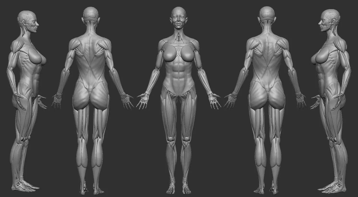 ECORCHE FEMALE  - ANATOMIA MUJER 3D print model_0