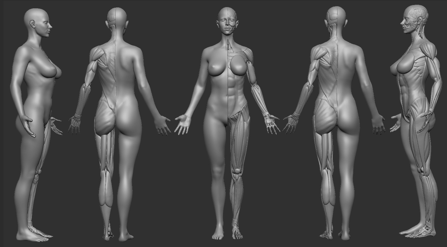 ECORCHE FEMALE  - ANATOMIA MUJER 3D print model_1
