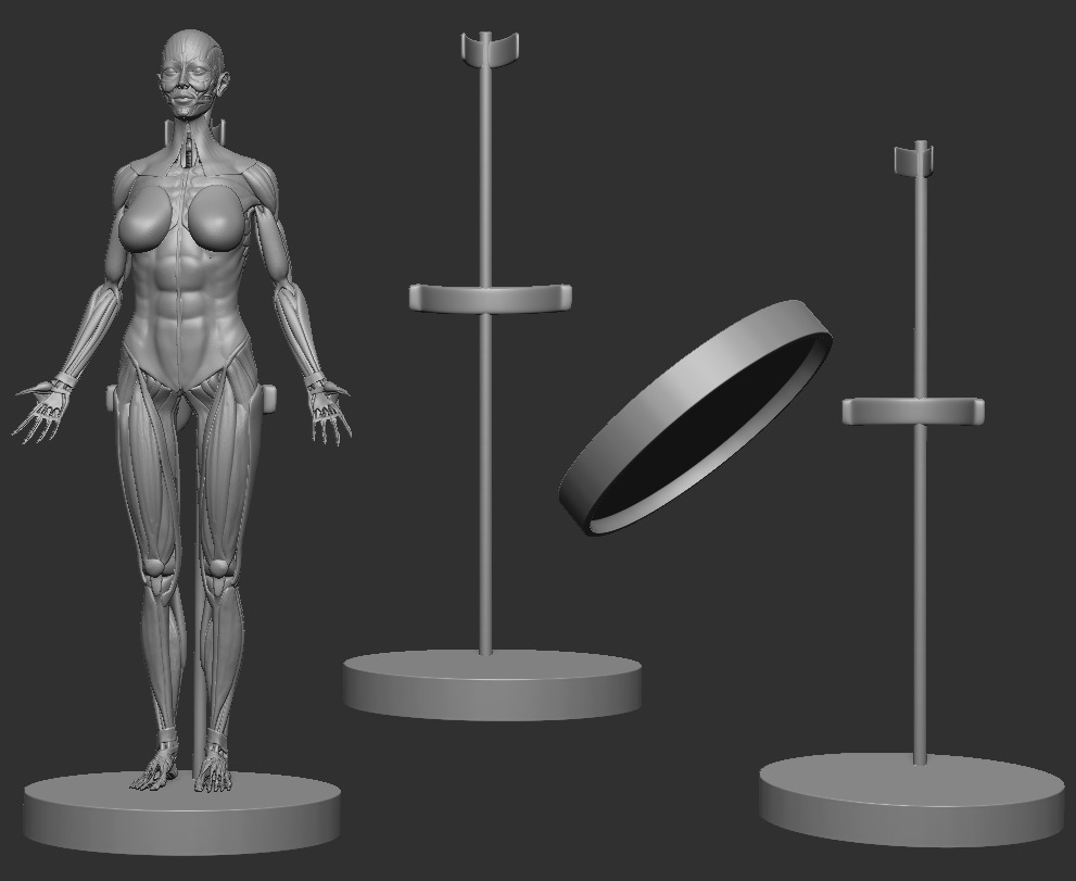 ECORCHE FEMALE  - ANATOMIA MUJER 3D print model_2