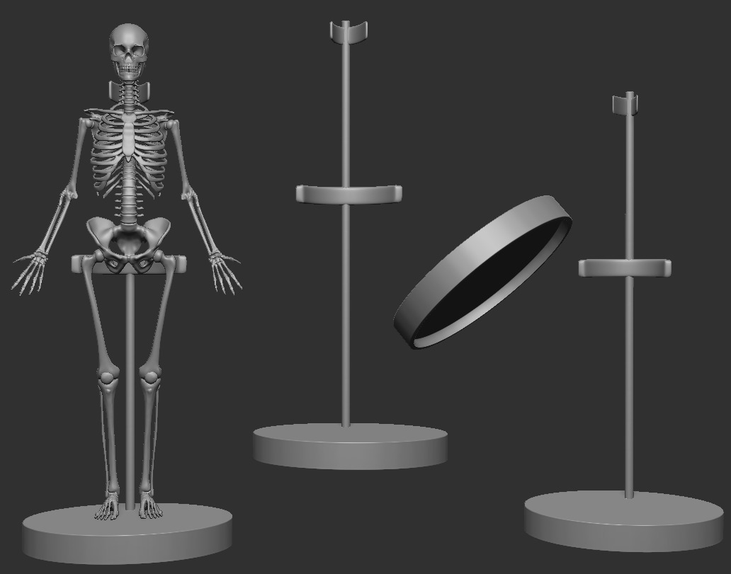 ECORCHE FEMALE - ANATOMIA MUJER 3D print model_2