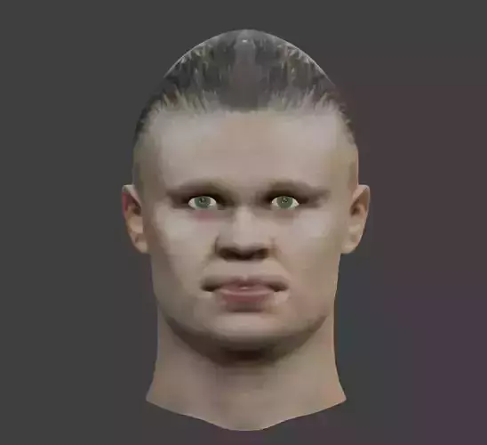 Erling Haaland Head Low-poly 3D model