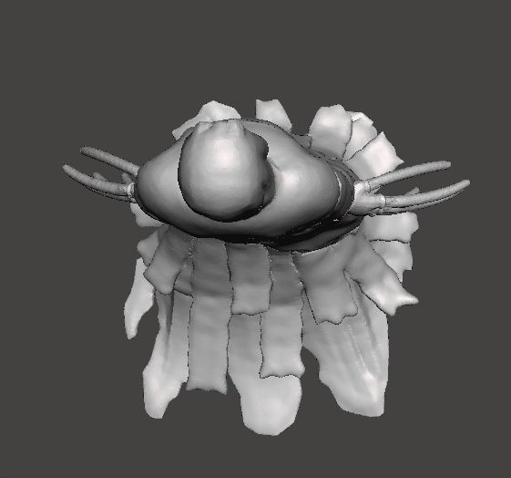 THE ENTITY MONSTER MINIATURE MODEL HORROR FANTASY GAMES RPG DND 3D print model_7