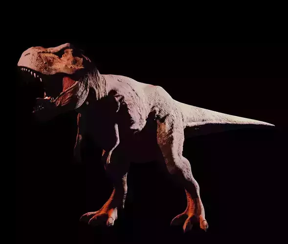 T-rex  3D model