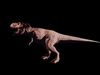T-rex  3D model_2