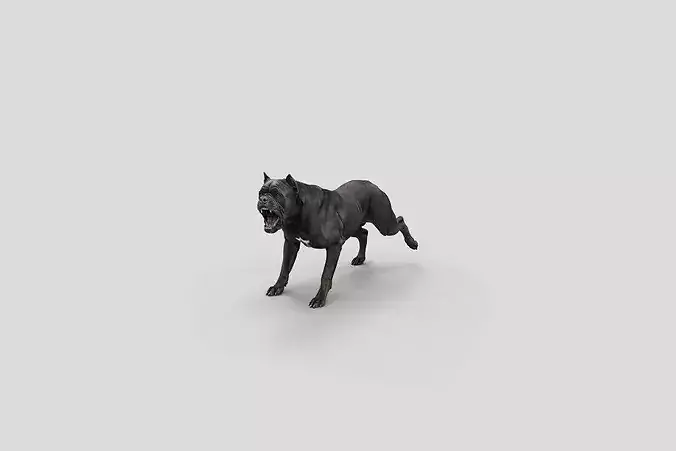 Realistic Cane Corso Barking Dog 3D Model