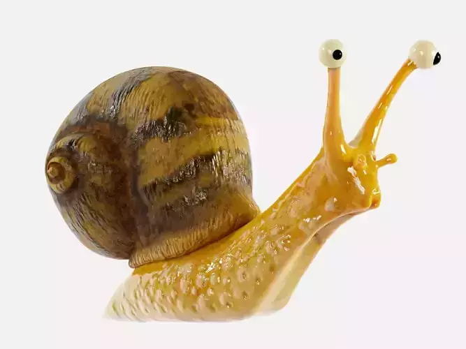 Snail