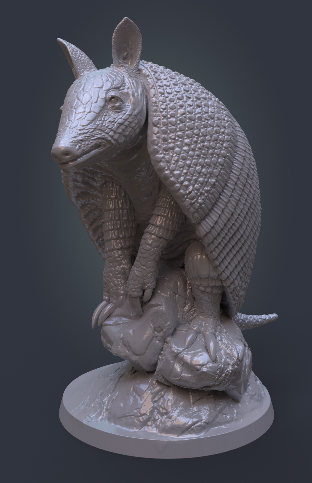 armadillo 3D print model_2