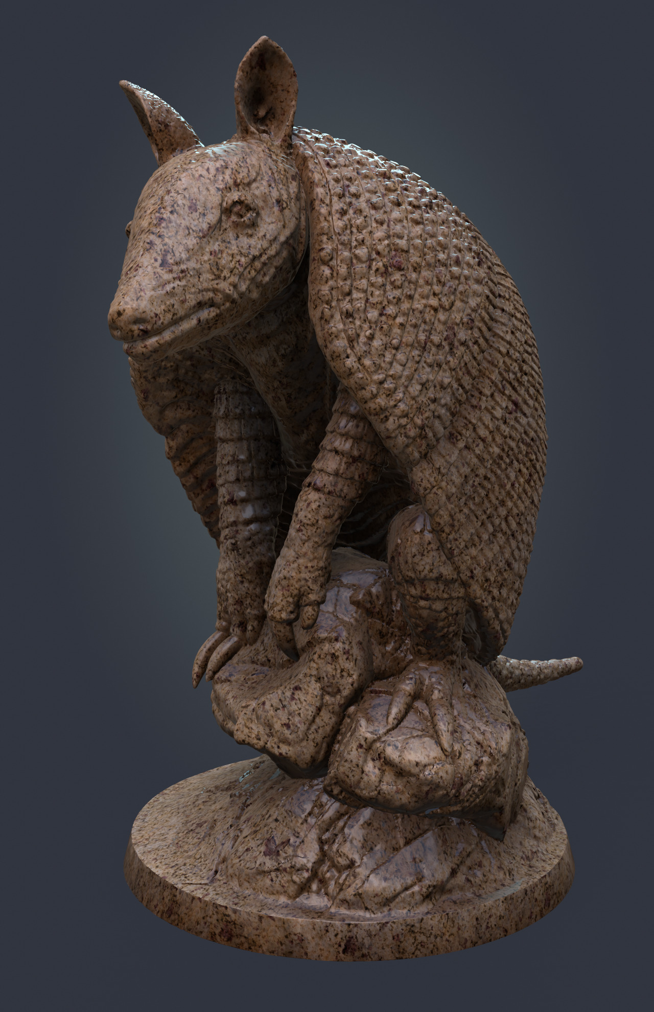 armadillo 3D print model_3