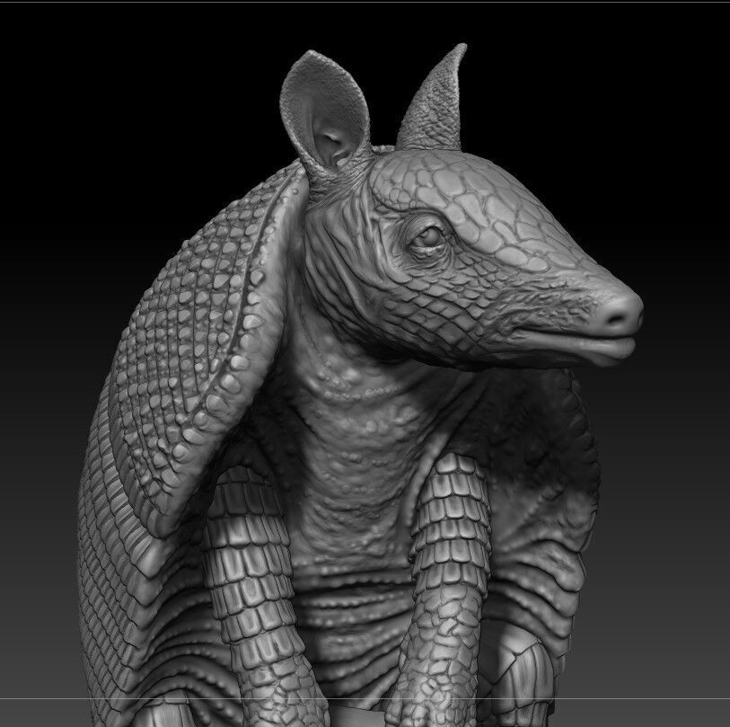 armadillo 3D print model_8