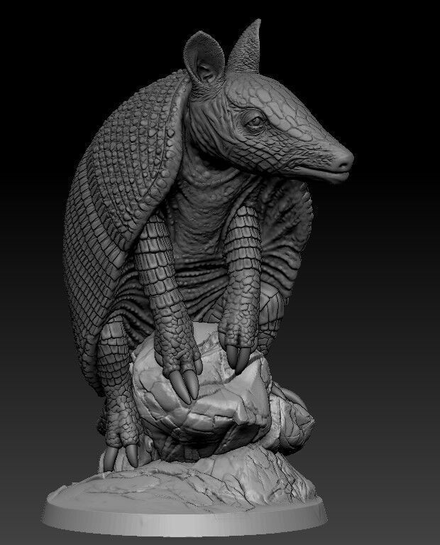 armadillo 3D print model_9