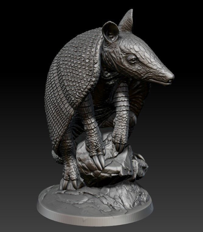 armadillo 3D print model_5