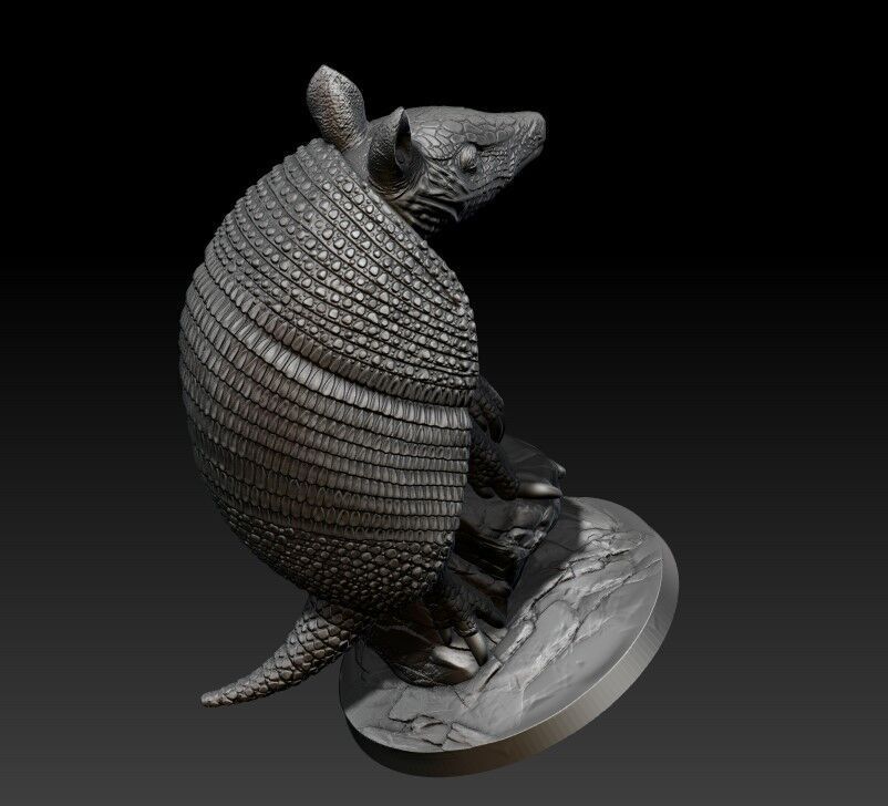 armadillo 3D print model_6
