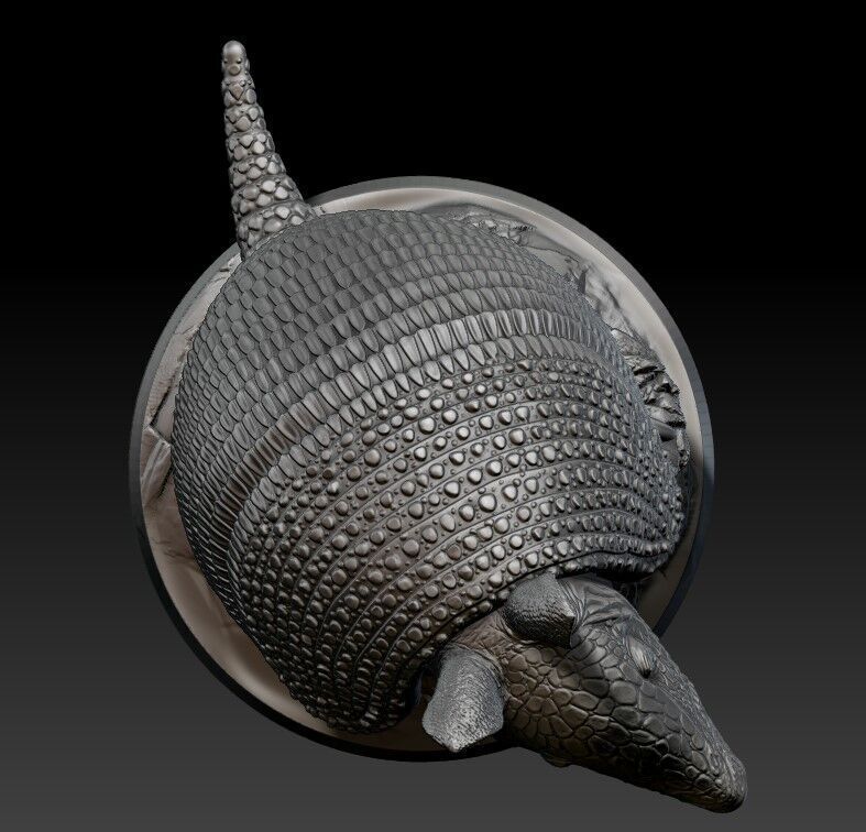 armadillo 3D print model_4