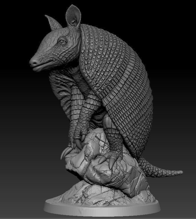 armadillo 3D print model_10