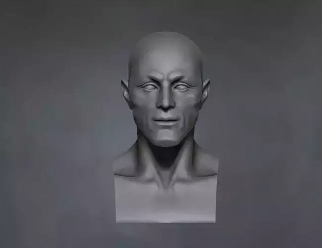 3D head sculpture