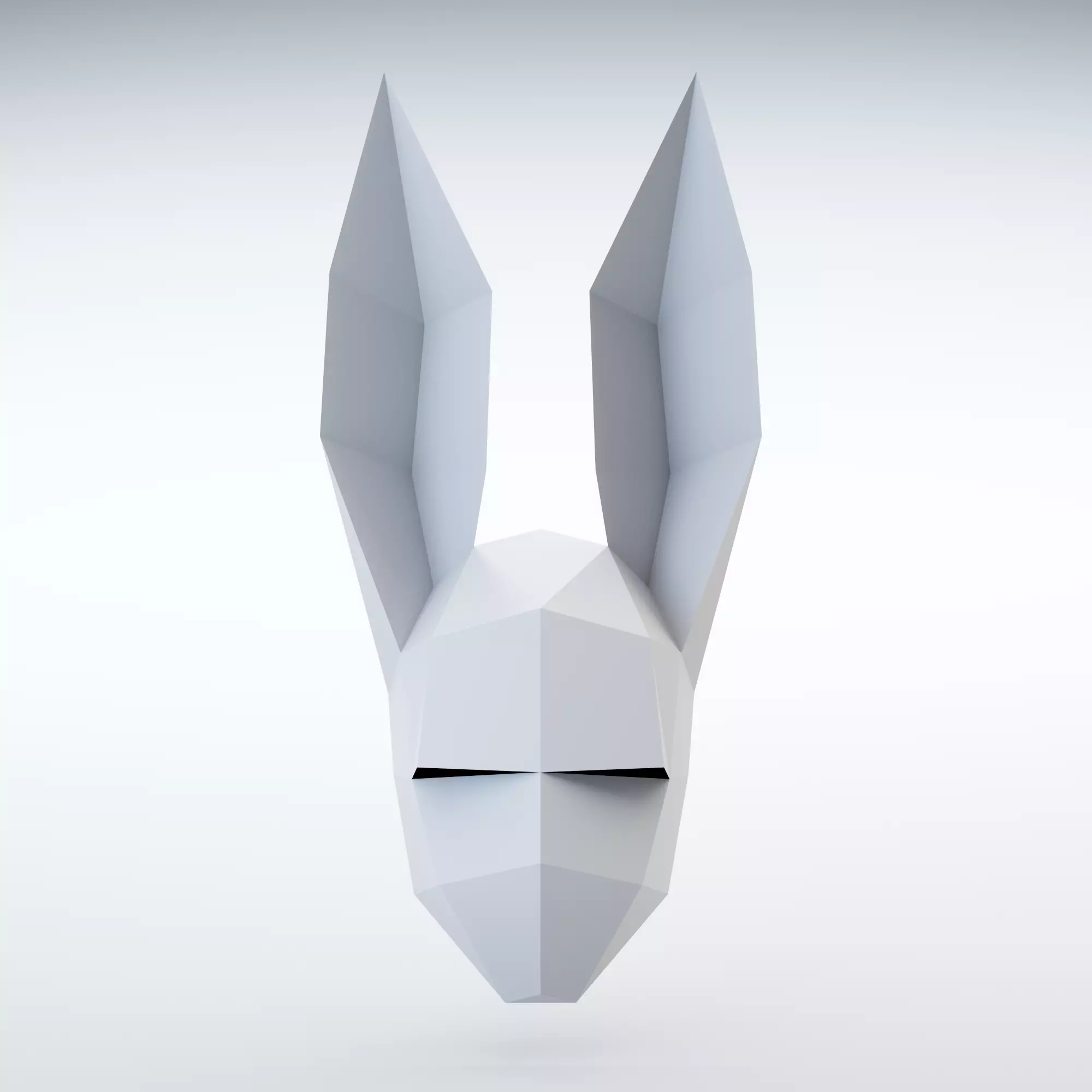 Rabbit Mask 3D model_0