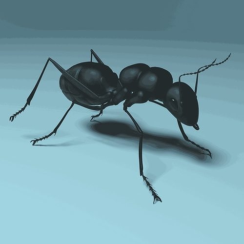 Ant-Photorealistic 3D Models  Low-poly 3D model